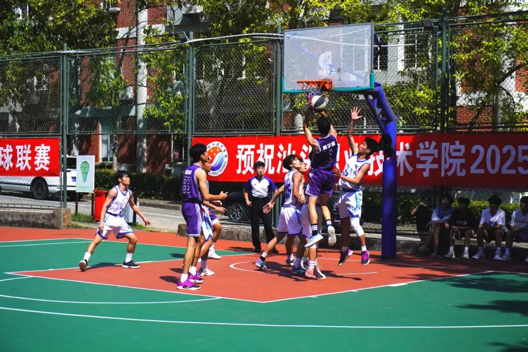 2025篮球赛